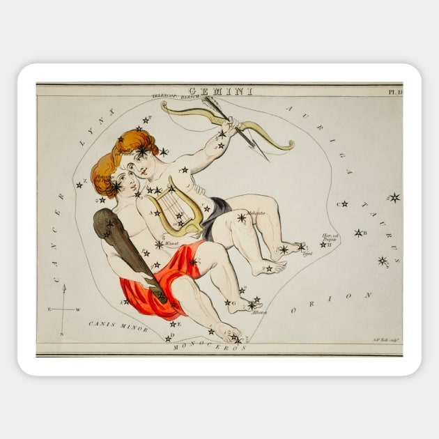 Gemini Constellation Sticker by Big Term Designs